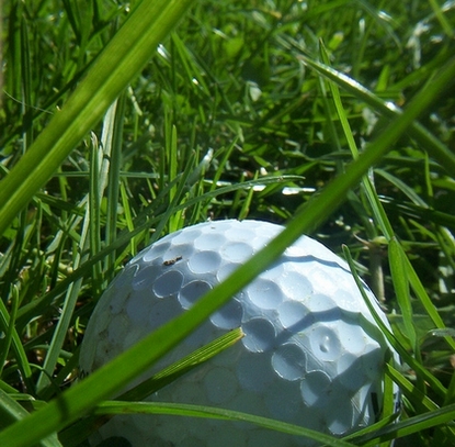 golf.jpg